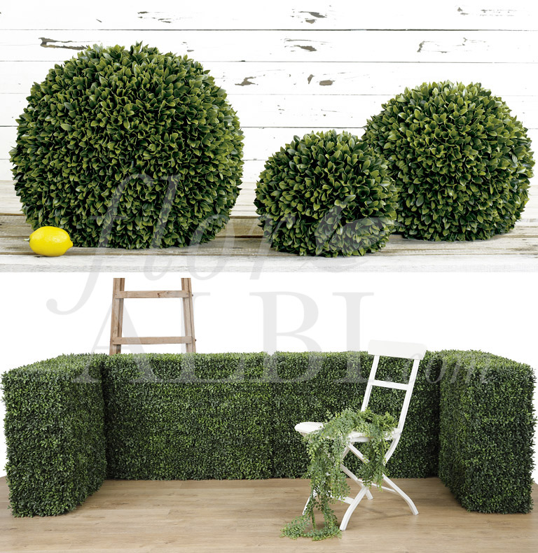 special boxwood and more...